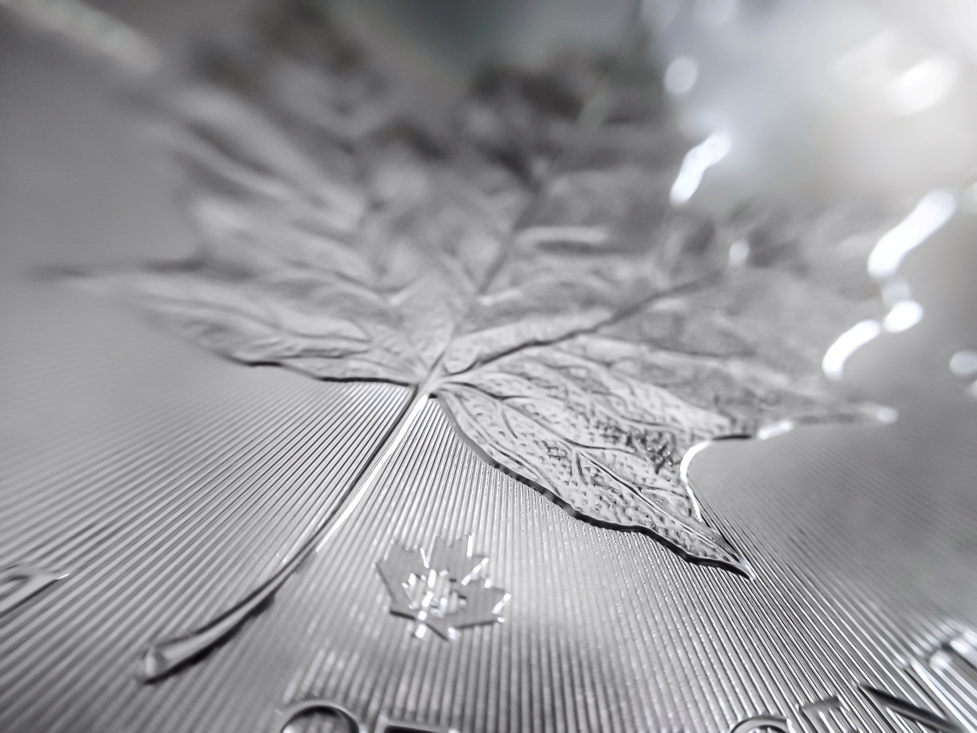 Macro close-up of a Canadian Silver Maple Leaf coin showing the detailed veins of the leaf and micro-engraved lines.