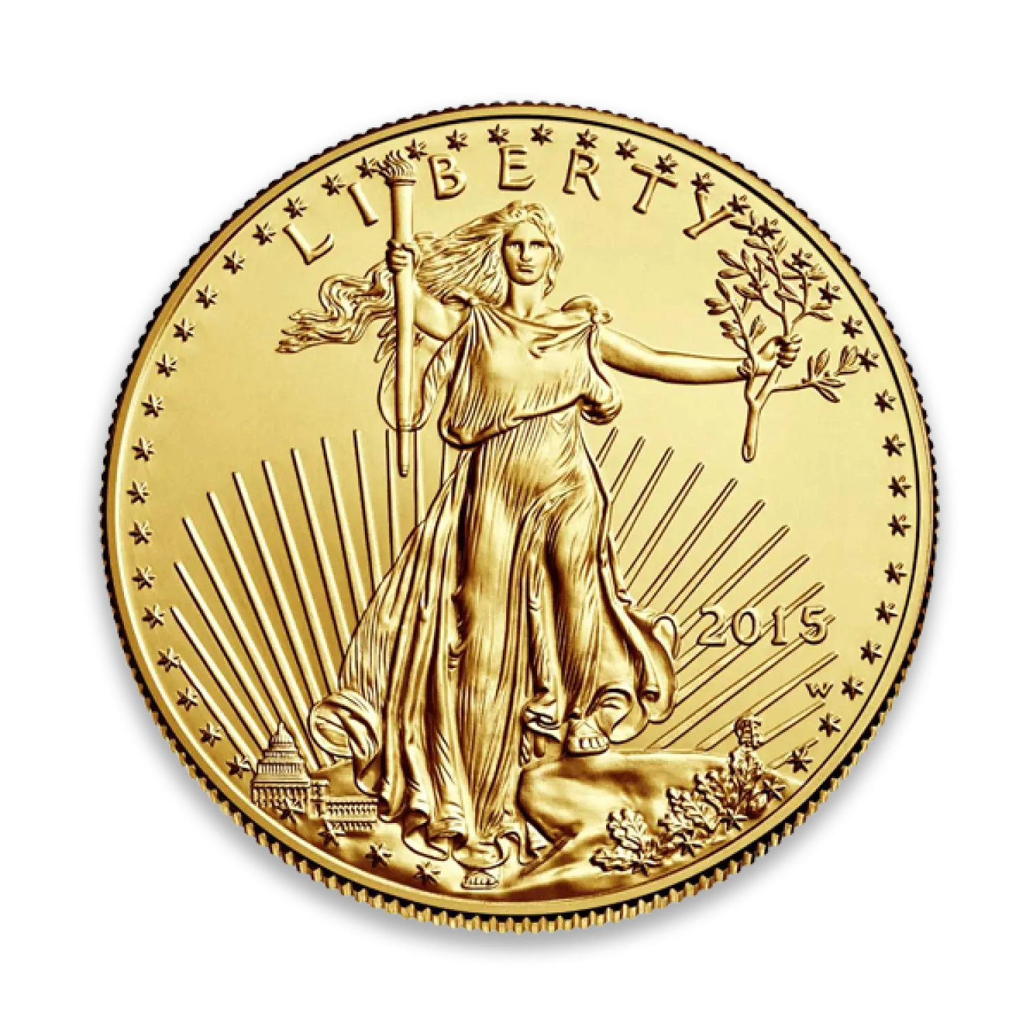 Close-up of a 2015 American Gold Eagle coin featuring Lady Liberty, from Pacific Precious Metals.