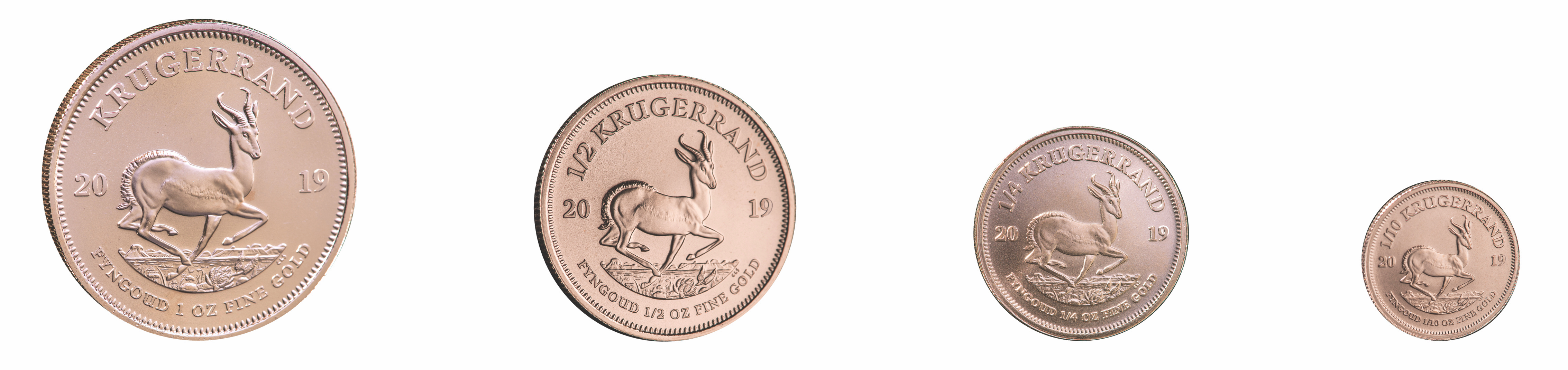 Four South African Krugerrand coins in different sizes, showing the springbok design from largest to smallest.