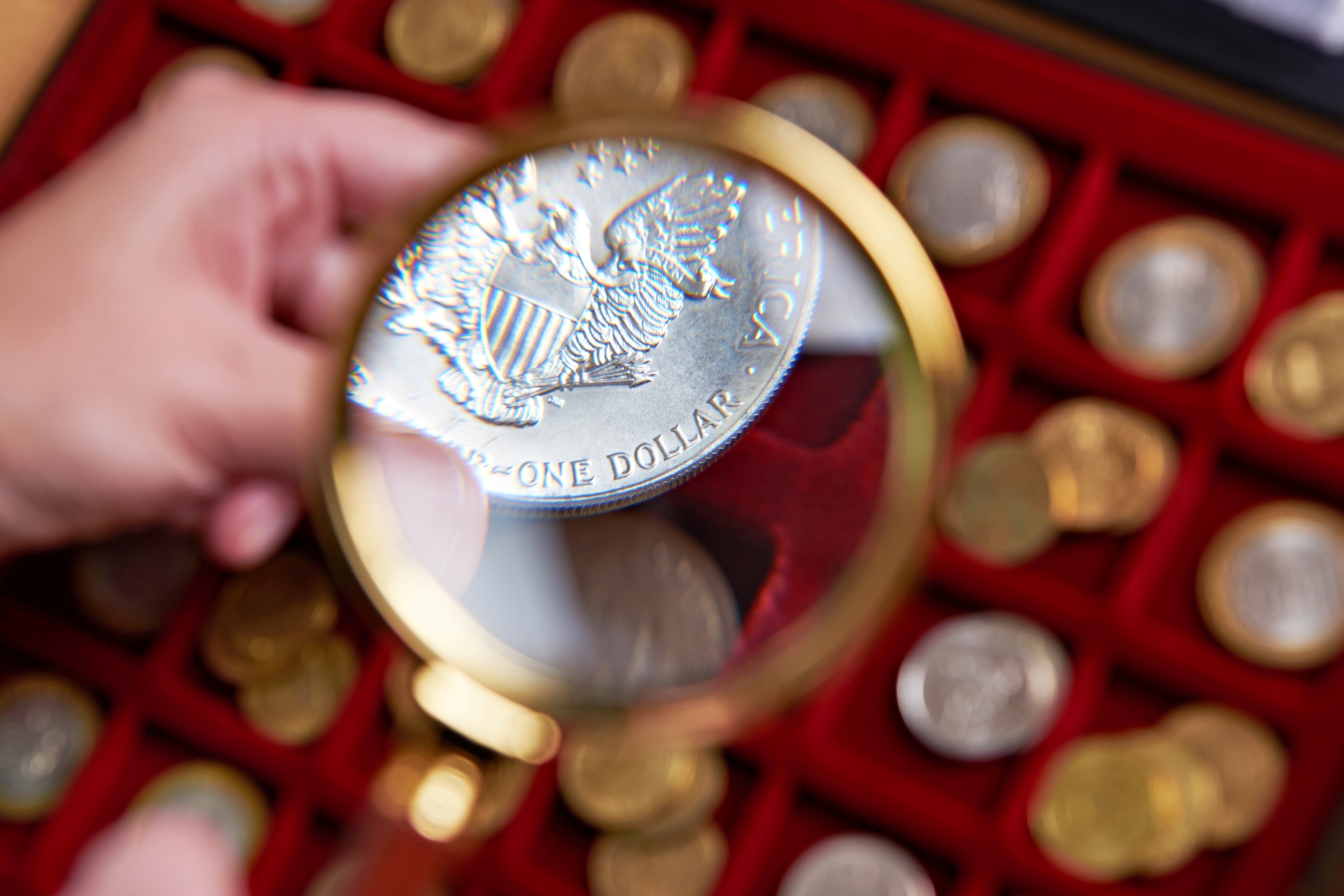 A magnifying glass focuses on the detailed eagle design on a silver dollar coin, over a red coin collection tray.