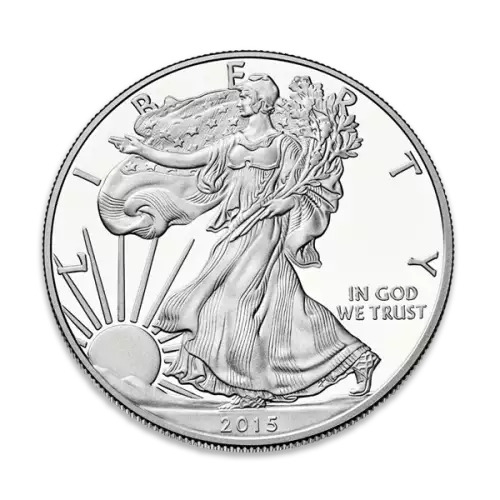 1oz Silver Eagle  Proof - with Original Govt Packaging