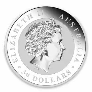 2013 1kg Australian Perth Mint Silver Kookaburra (2)