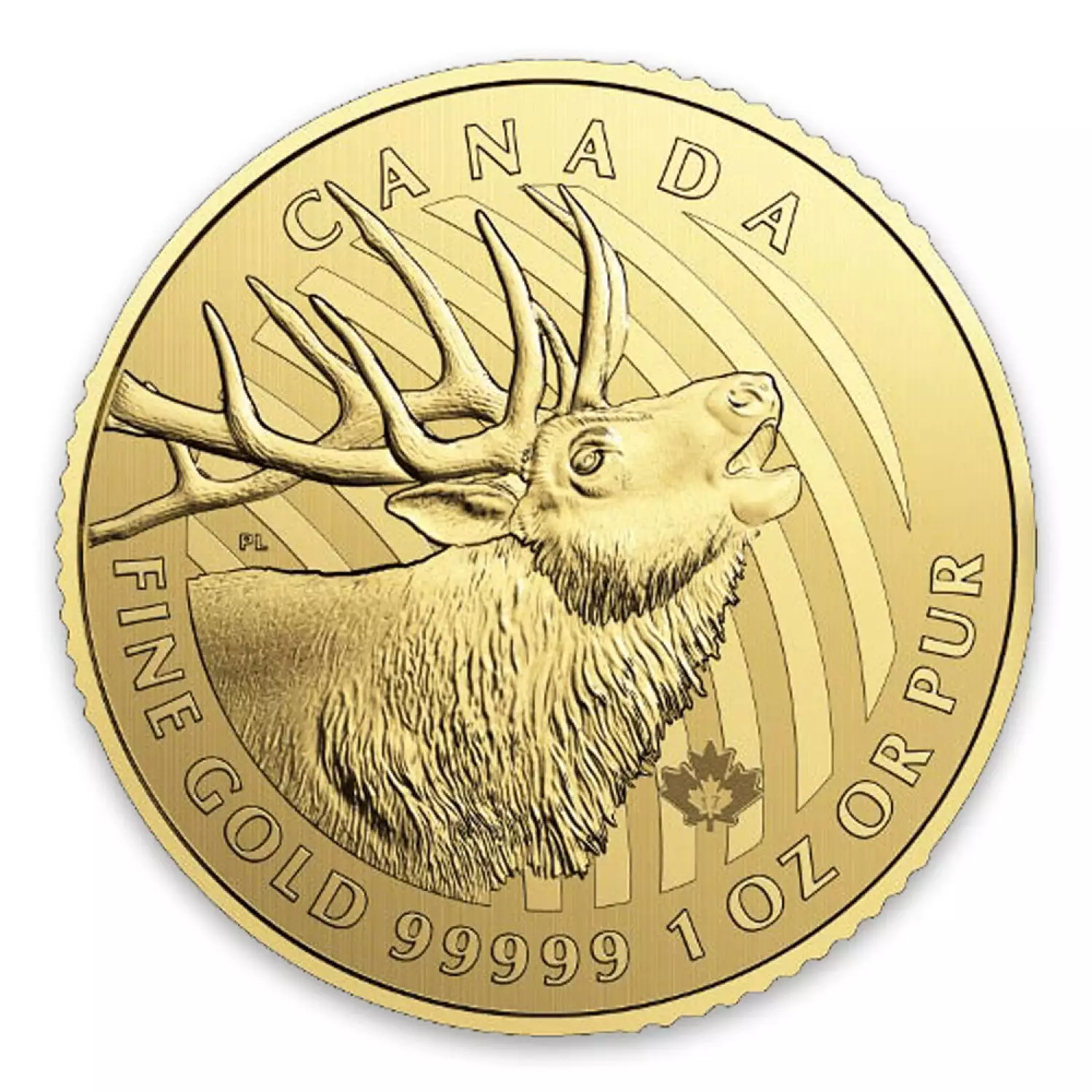 2017 1oz Canadian Gold Elk - 99999