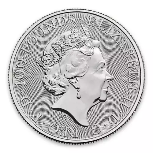 2018 1oz British Platinum Britannia Coin (2)