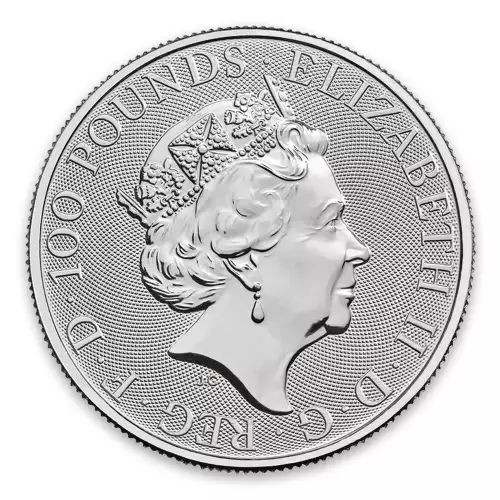 2020 1oz British Platinum Britannia Coin (2)