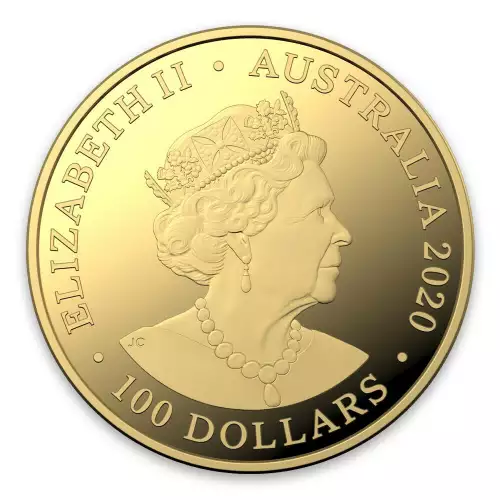 2020 1oz Spinner Dolphin Gold Coin (2)
