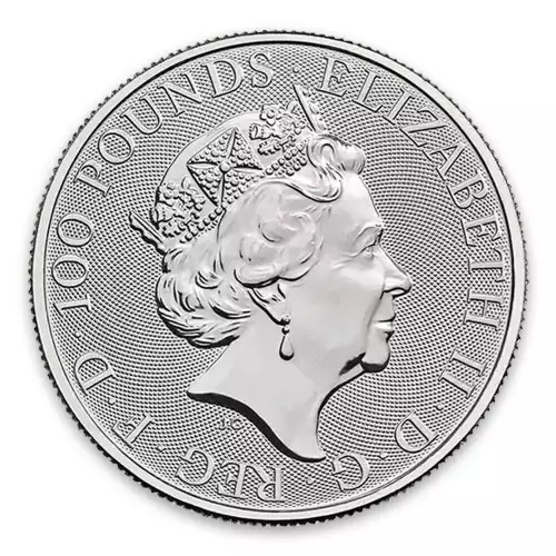2021 1oz British Platinum Britannia Coin (2)