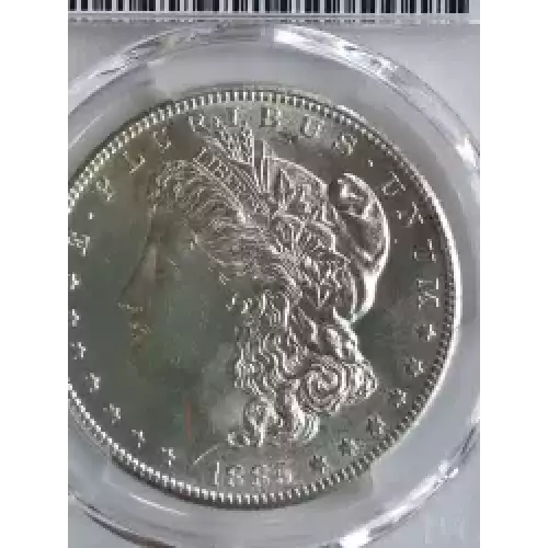 Morgan Silver Dollar