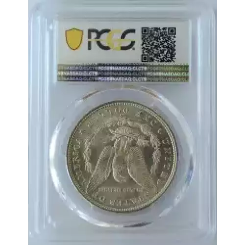 Morgan Silver Dollar (2)