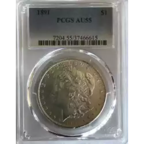 Morgan Silver Dollar (2)