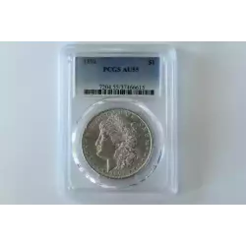 Morgan Silver Dollar (5)