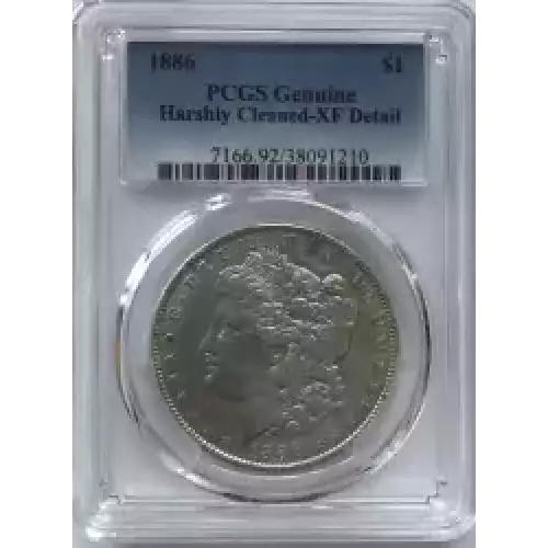 Morgan Silver Dollar (2)