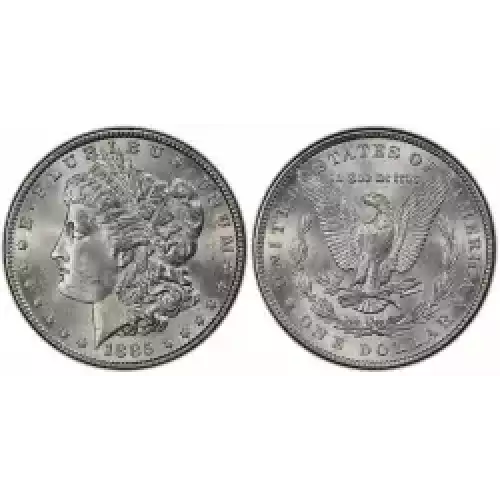 Morgan Silver Dollar (4)