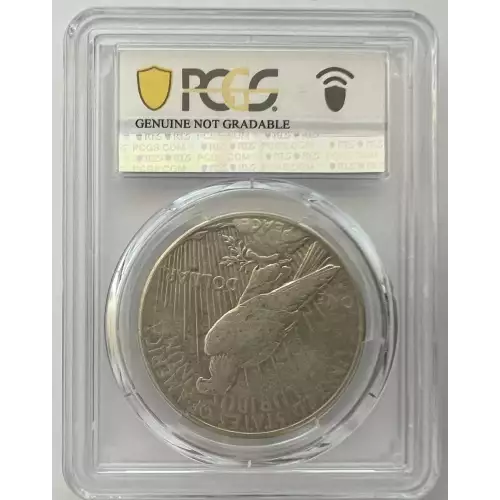 Peace Silver Dollar