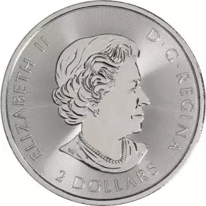 2018 Canadian 1/2 oz Silver Polar Bear Coin