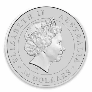 2012 1kg Australian Perth Mint Silver Koala (2)