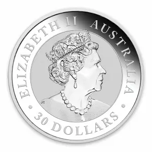 2019 1kg Australian Perth Mint Silver Kookaburra (2)