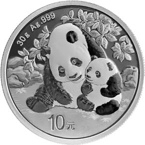 2024 30g Chinese Silver Panda (2)