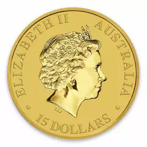 Any Year 1/10oz Bullion Nugget / Kangaroo Coin (2)