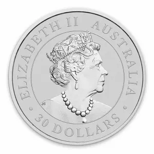 2019 1kg Australian Perth Mint Silver Koala (2)