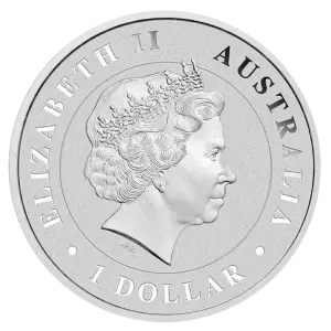 2015 1oz Perth Mint Silver Funnel Web Spider (2)