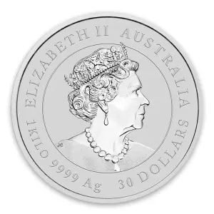2020 10oz Perth Mint Lunar Series: Year of the Mouse Silver Coin (2)