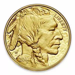 American Gold Buffalo Coin