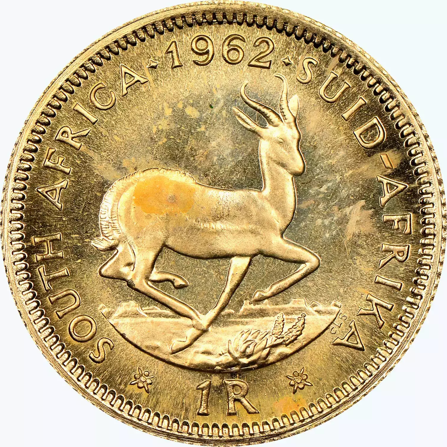 South Africa 1 Rand Gold Coin historic South African gold bullion coin with classic design